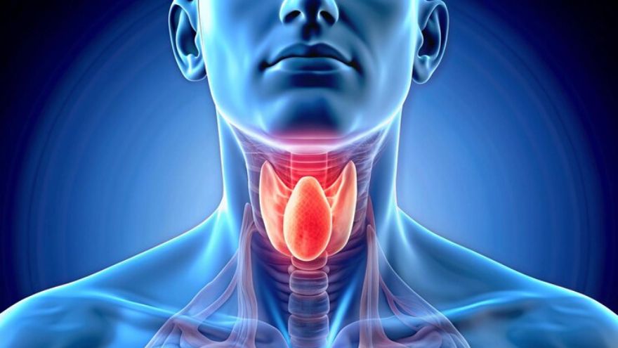 Thyroid Disorders: Causes, Symptoms, Treatments, and Health Tips